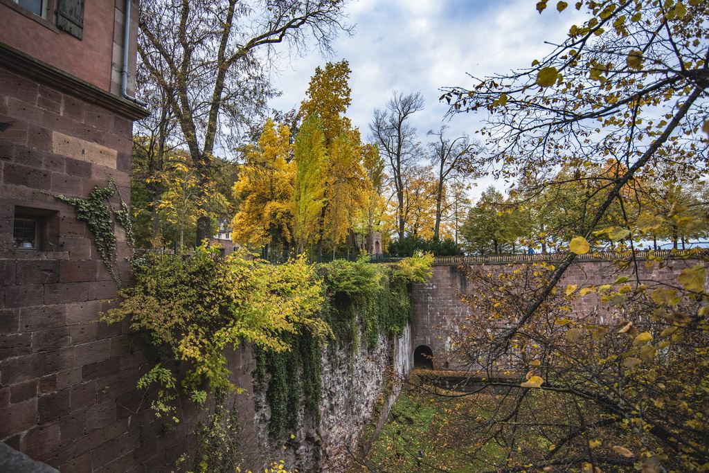 Farbenfroh, der Oktober 2021 in Heidelberg.