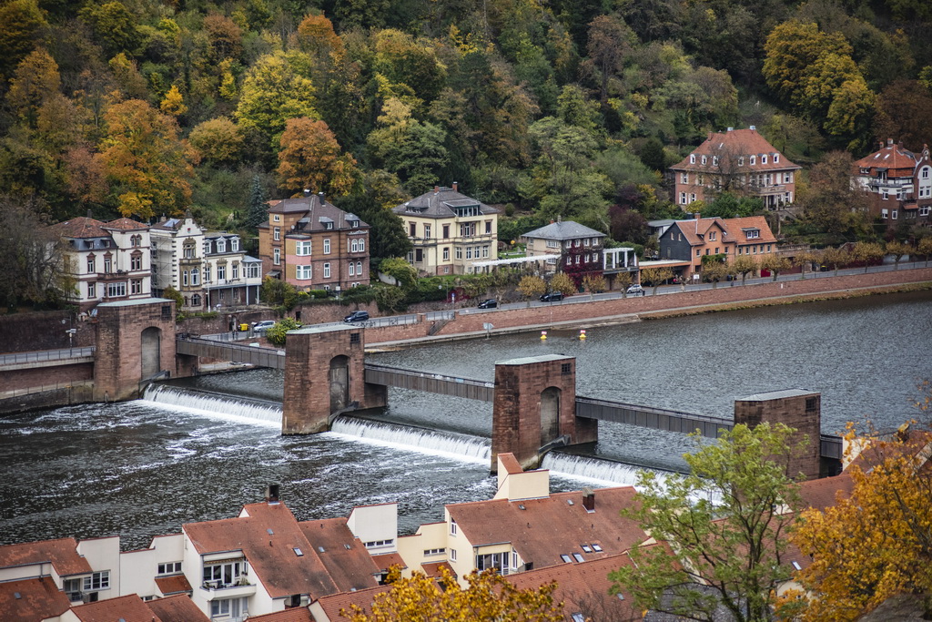 Herbstliche Impressionen, Heidelberg im Oktober 2021
