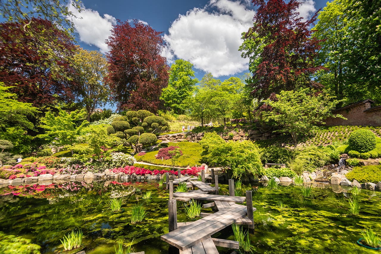 Japanischer Garten @ Pfalz.Touristik e.V., Dominik Ketz