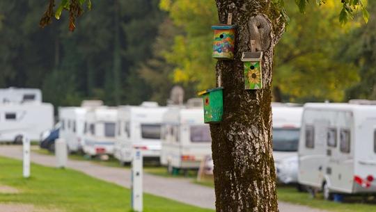 5 Sterne Campingpark Gitzenweiler Hof (2)