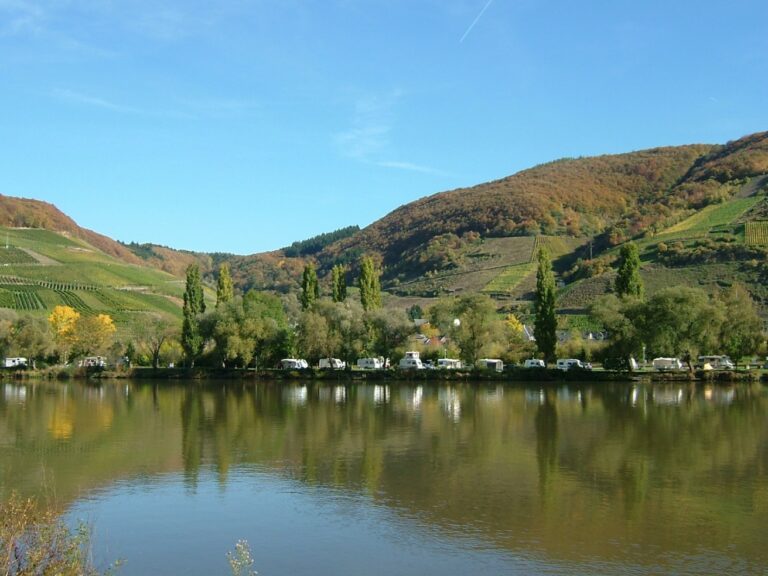 camping mosel 5 768x576