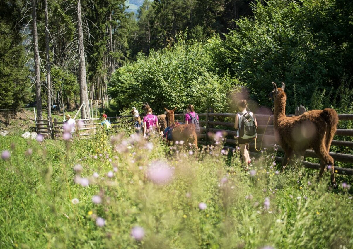 Camping Völlan, wandern und aktiv erleben.