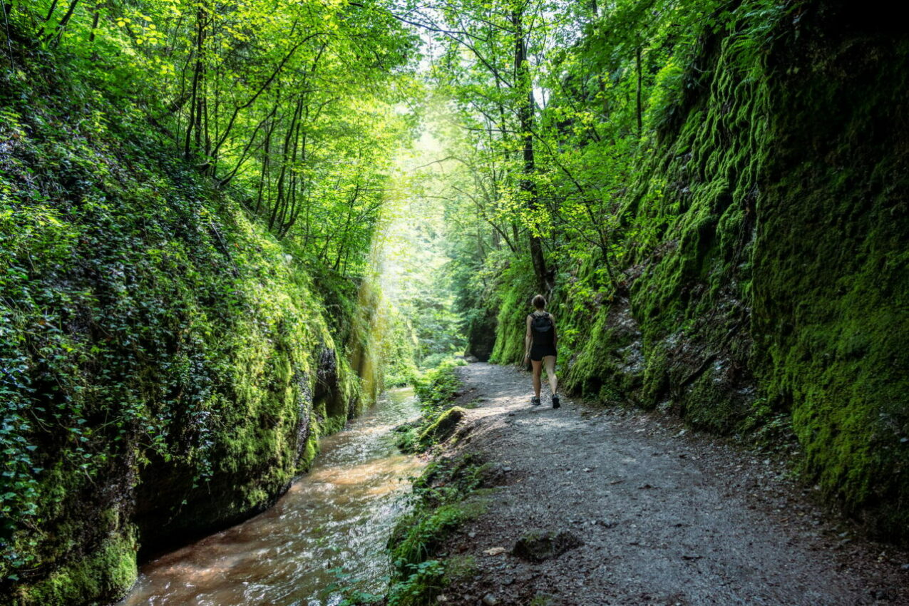 Ausflugsziele in Thüringen, Drachenschlucht Eisenach, Foto: Frank Liebold, Jenafotografx