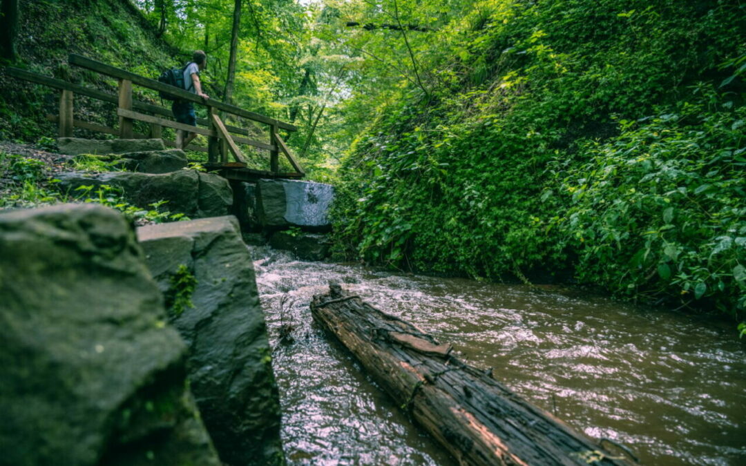 Ausflugsugziele in Thüringen – Drachenschlucht Eisenach