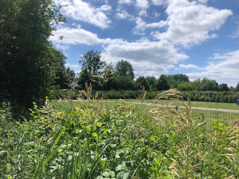 Stellplatz leer Groh 1 768x576